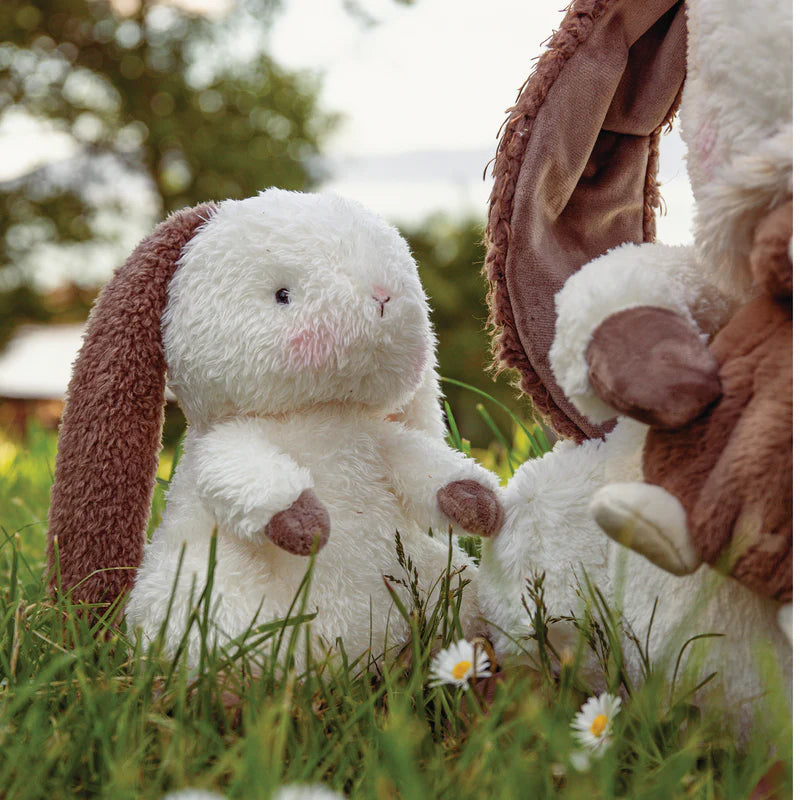 Herby Hare: Bunnies By the Bay