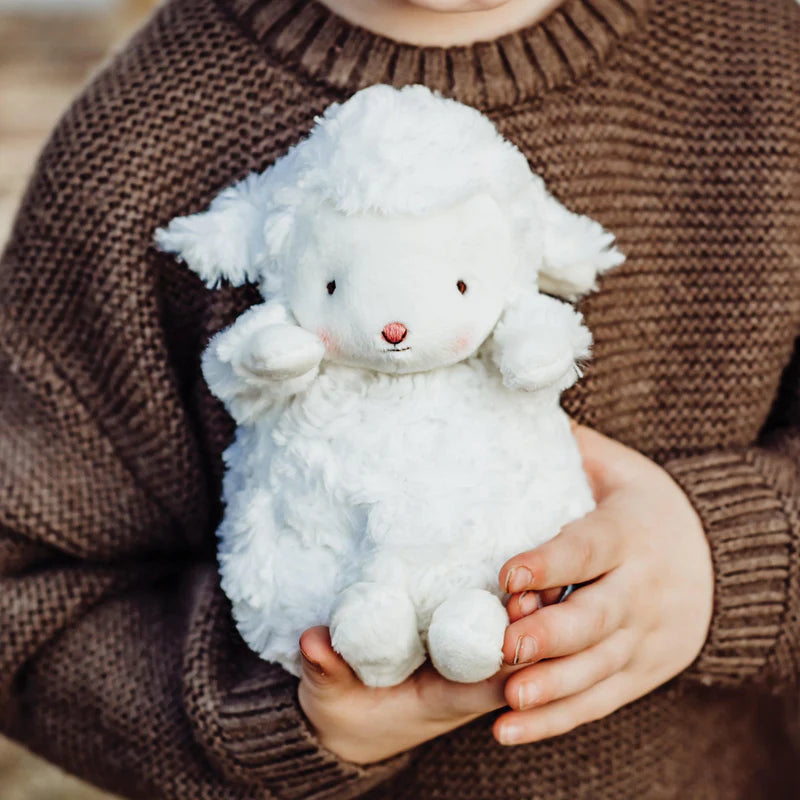 Wee Kiddo the Lamb: Bunnies By The Bay