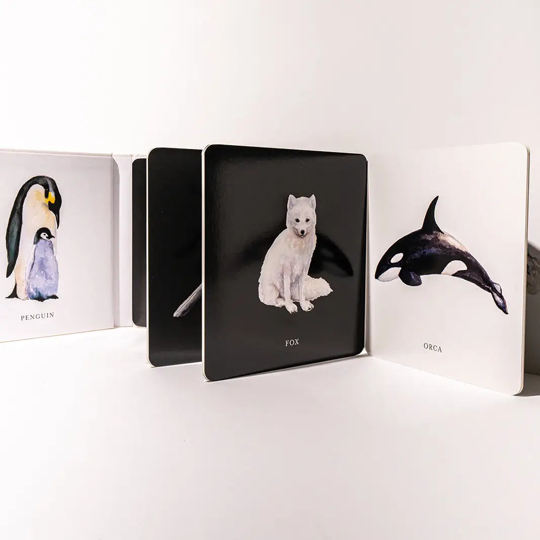 Black and White: Contrast Book For Baby